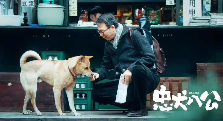 解除bilibili 地区限制评价